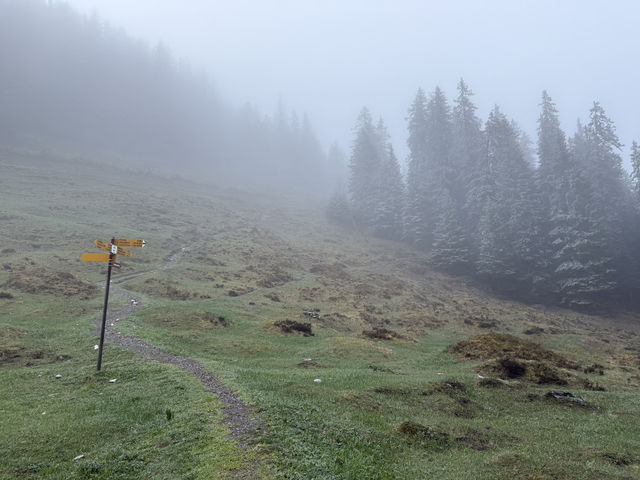Chasing the Eiger – Worth Every Step!