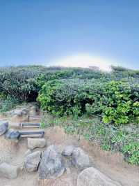 Itsoshima’s best kept secret… Totoro Forest 🌳 