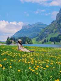 Hiking in Appenzell🇨🇭 A Hidden Alpine Gem!