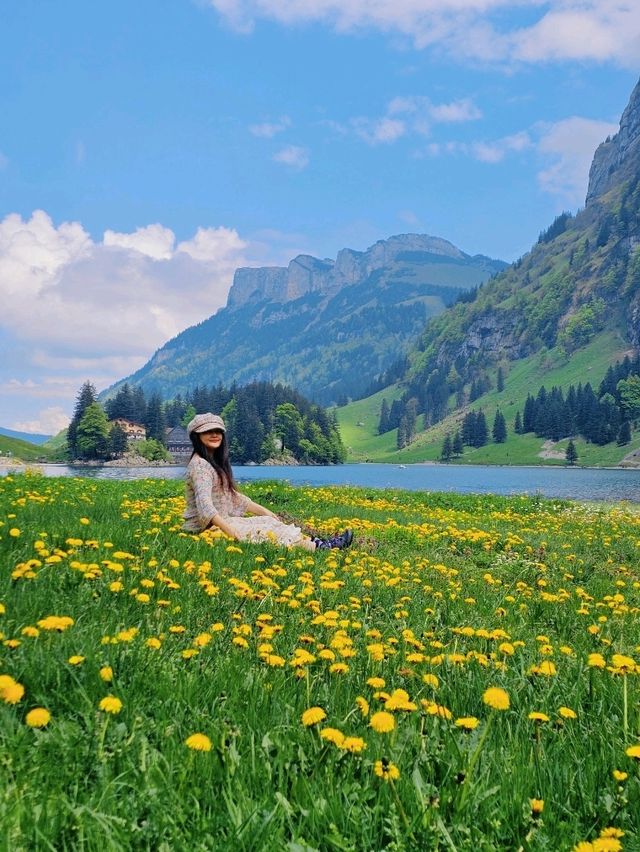 Hiking in Appenzell🇨🇭 A Hidden Alpine Gem!