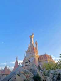 【浦安】夢の国で最高の1日を！🎡