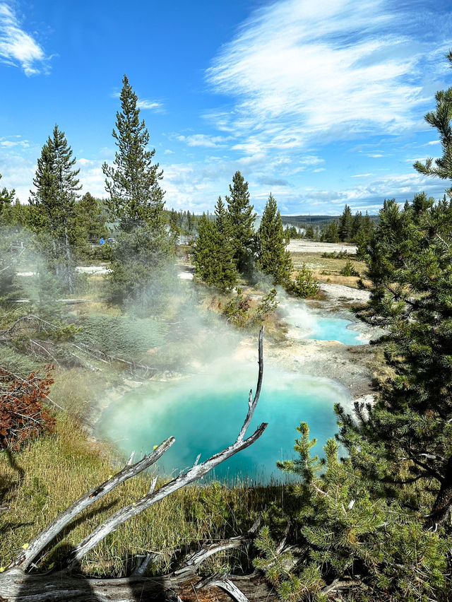 Yellowstone: One of the most beautiful national parks