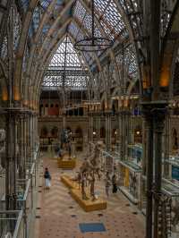 🏛️ Oxford University Museum of Natural History – Gothic Wonder & Scientific Treasure