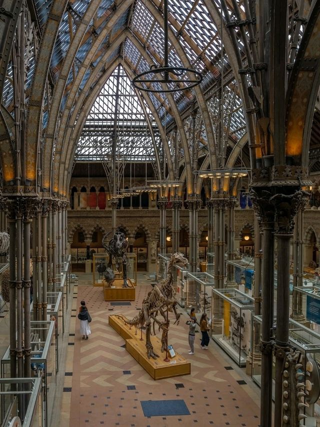 🏛️ Oxford University Museum of Natural History – Gothic Wonder & Scientific Treasure