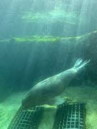 Best Europe Zoo in Belgium