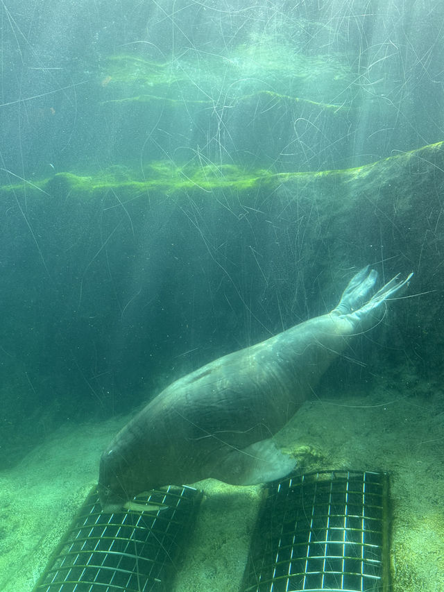 Best Europe Zoo in Belgium