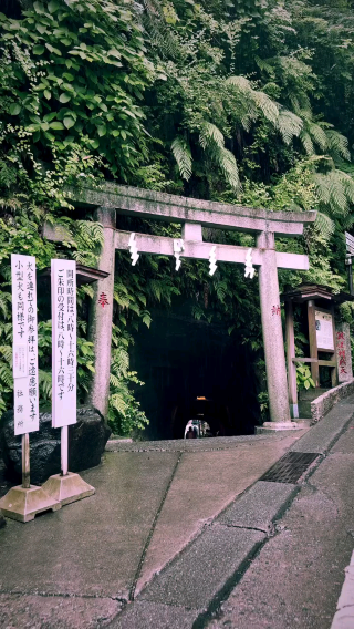 🌿 The Enchanted Money-Washing Shrine – Zeniarai Benzaiten, Kamakura