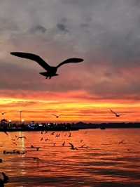 :Sea Breeze, Squares, and Seafood — A Day in Dalian’s Coastal Charm