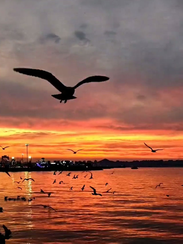 :Sea Breeze, Squares, and Seafood — A Day in Dalian’s Coastal Charm