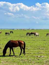 Zhangbei Grassland Sky Road: A Drive Above the Clouds