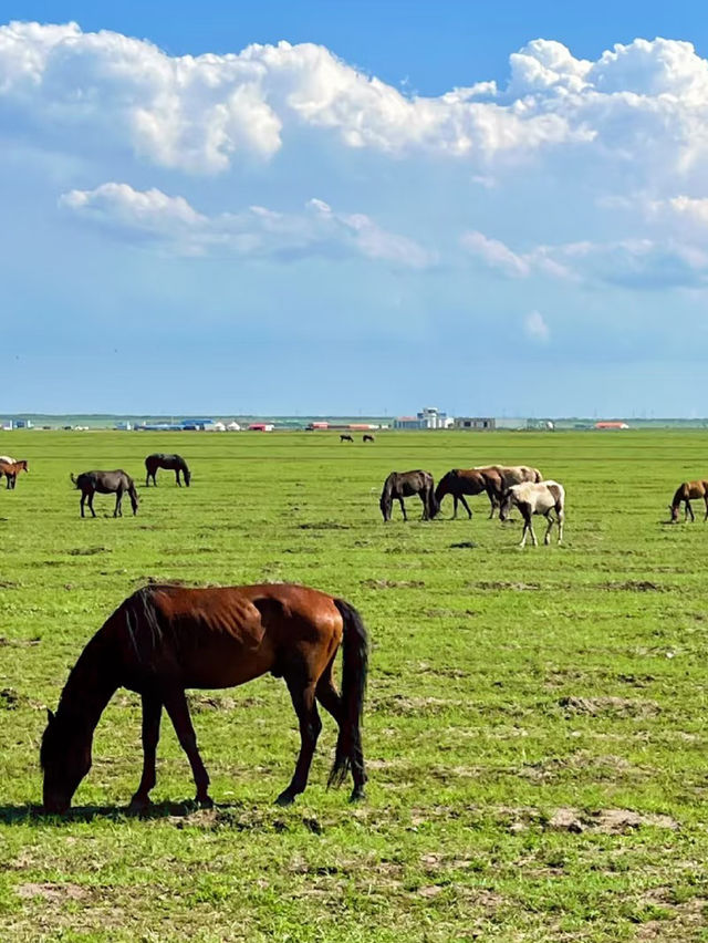 Zhangbei Grassland Sky Road: A Drive Above the Clouds