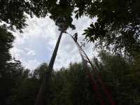 Art sculptures lost in a forest
