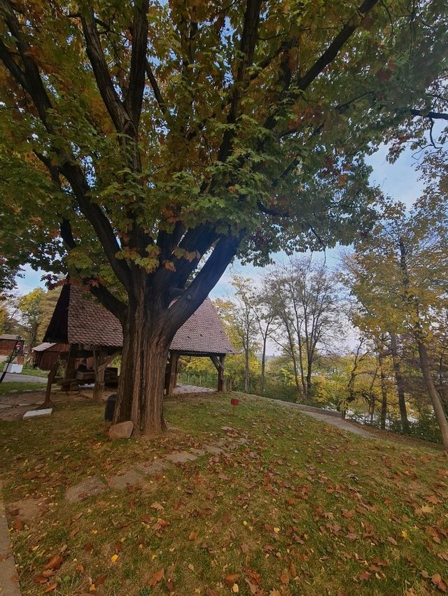 🍂 The Village Museum in Bucharest – A Peaceful Autumn 