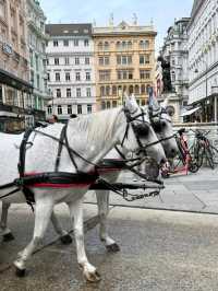 A Day in Vienna, City of Mozart 🎶