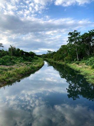 🌿 Florianópolis: A Green Island Paradise