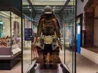 Exeter’s Royal Albert Memorial Museum – A Free Gem to Explore