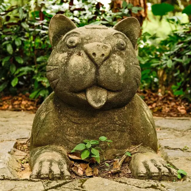 陽朔的趣味石頭動物園 