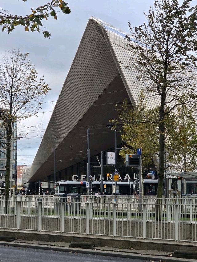 Rotterdam Guide — Modern Architecture and Creative Energy🍵🚅