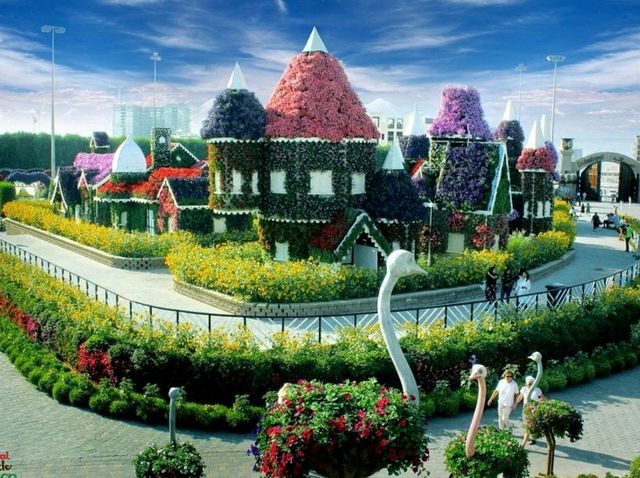 Explore the magic of nature at the Dubai miracle garden!