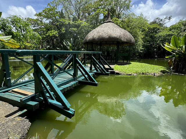 Mauritius Magic🌴 Mauritius Magic🌴