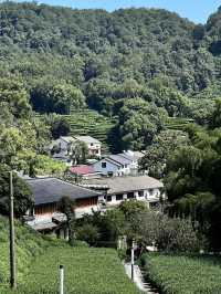 Hangzhou in One Day: What I Wish I Knew Before Going