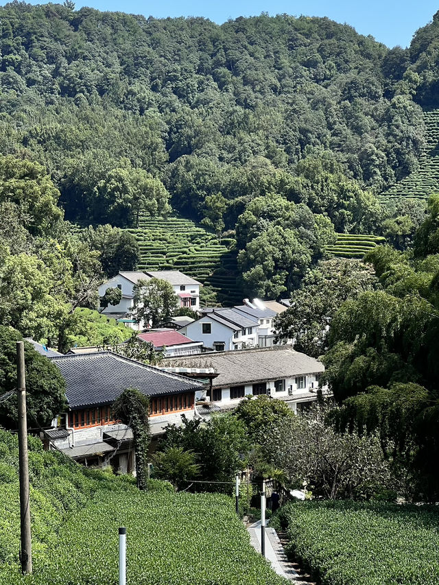 Hangzhou in One Day: What I Wish I Knew Before Going Hangzhou in One Day: What I Wish I Knew Before Going