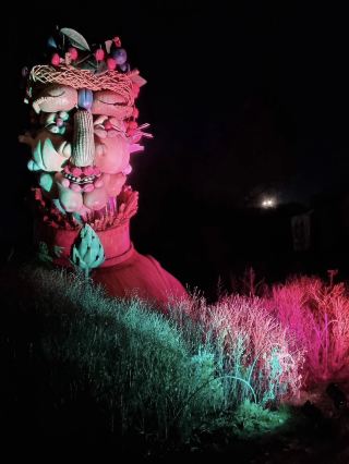 Christmas evenings at Harlow Carr feel calm and enchanting. 🎄✨🌿