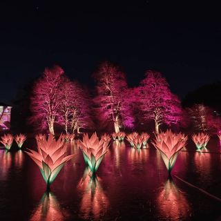 Royal Botanic Gardens, Kew
