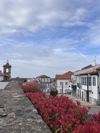 旅遊小秘訣 – 如何遊覽維米歐索📝