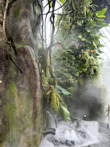 花咲くシンガポール。 | Trip.com シンガポール