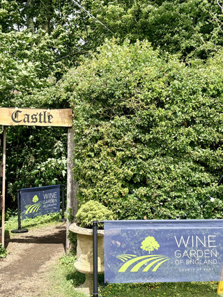 Wine Garden of England festival 