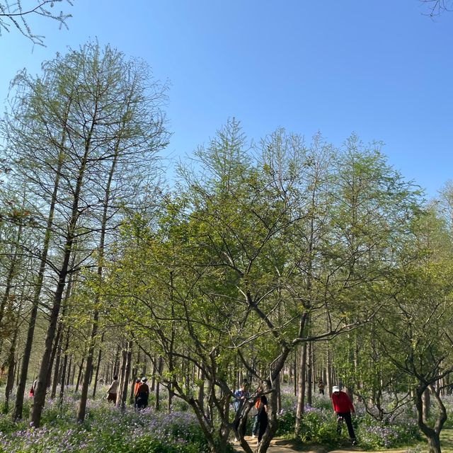 Ming Tomb 