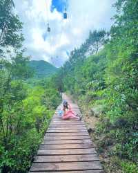 Hiking paradise｜Complete the Ngong Ping Trail in 4 hours!