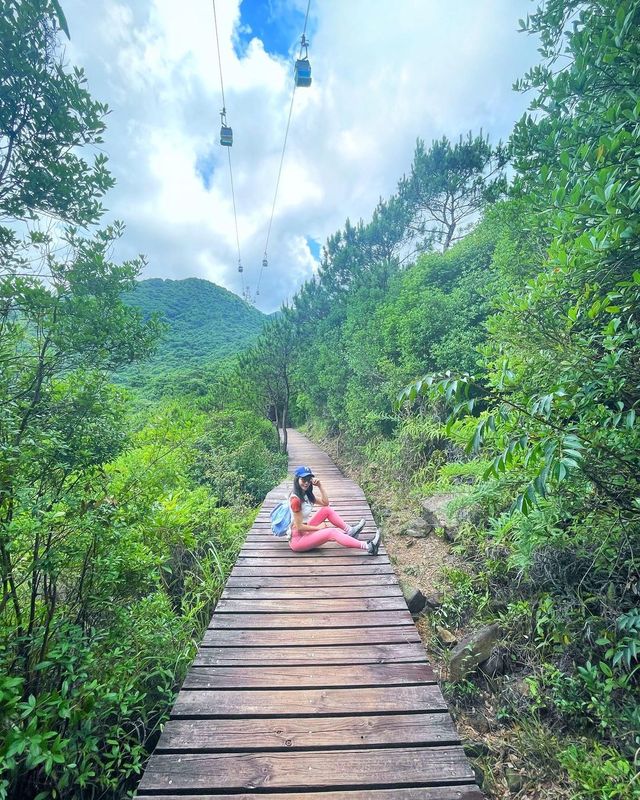 Hiking paradise｜Complete the Ngong Ping Trail in 4 hours!