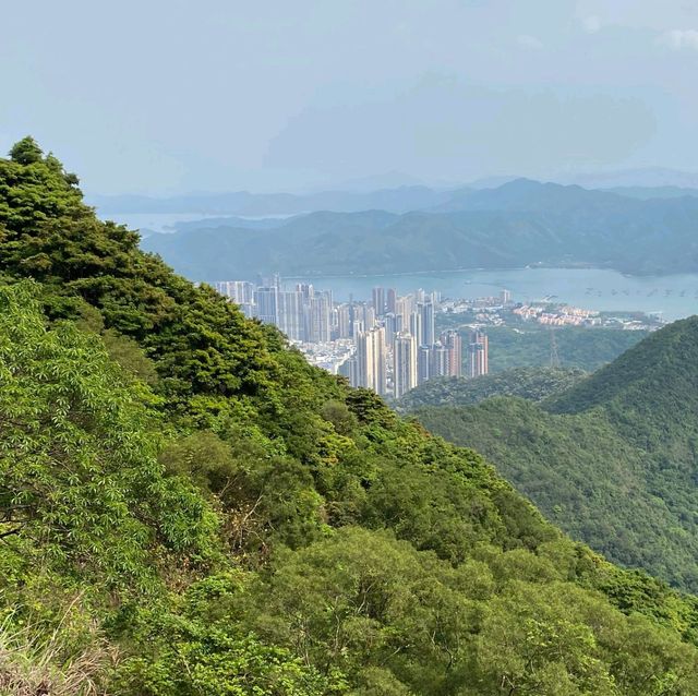 Dance of Nature & Human Skyscrapers 