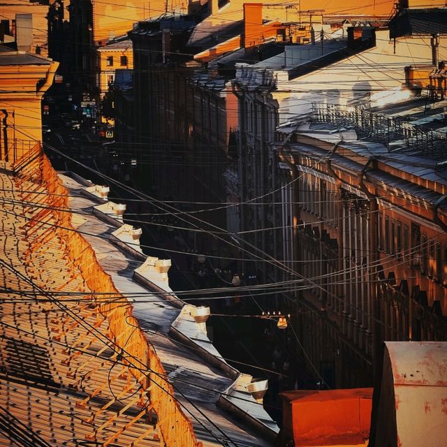 Roofs of Saint Petersburg