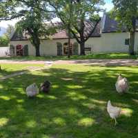 Boschendal - West Cape - From farm to table