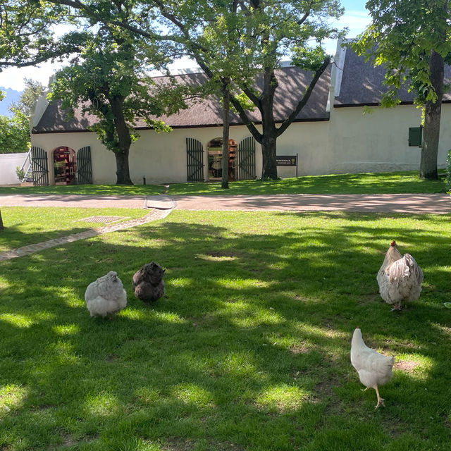 Boschendal - West Cape - From farm to table