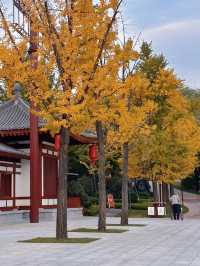 大唐芙蓉園|適合休閒與漢服拍照的仿唐建築群