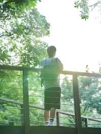 深圳這座免費的小眾公園我不敢告訴太多人，因為實在太好拍了！