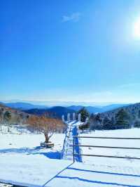 吉林絕美小眾賞雪地：在這個冬天誤入仙境