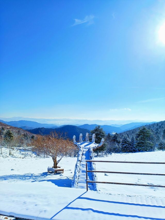 吉林絕美小眾賞雪地：在這個冬天誤入仙境