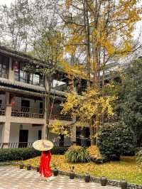 成都周邊的「小江南」秋景已達巔峰！！