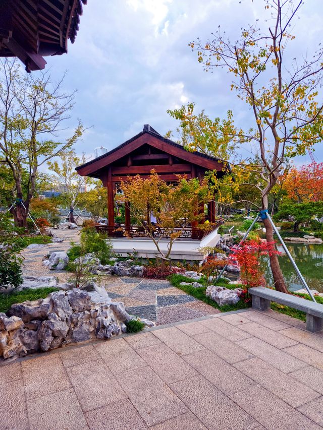 秋季遊申園，拍照絕佳時
