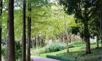 絕美濕地公園自然主義的天堂