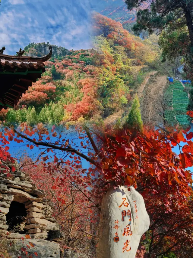 Shandong Huaifang  autumn tour, a spontaneous short trip