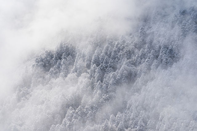 成都西岭雪山｜｜這樣的西岭雪山誰會不愛｜