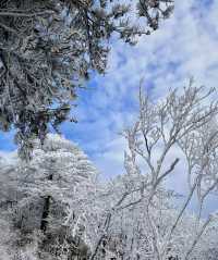 獨棟別墅 山野溫泉