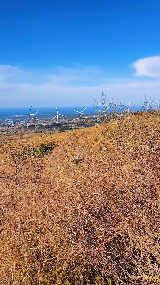 韓國濟州島｜晨星嶽 小火山