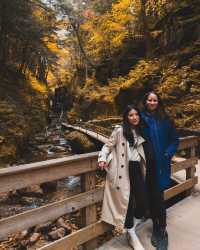 Fall Adventures Unveiled: Exploring the Charms of New Hampshire